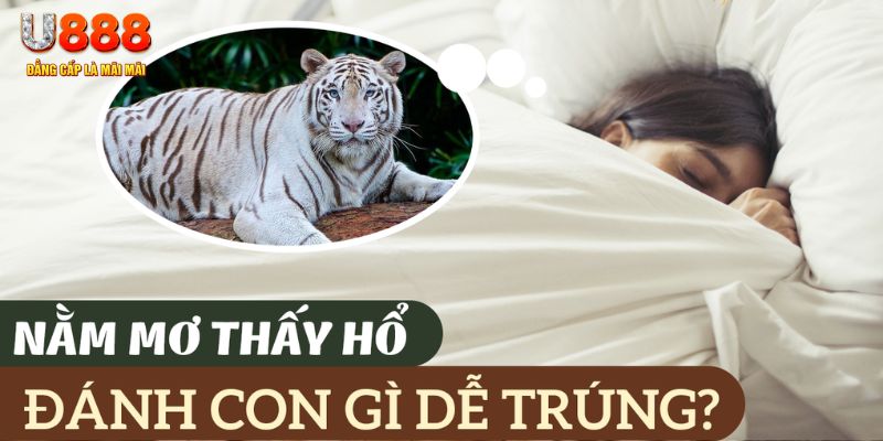 hi88vip2 casino Đăng ký