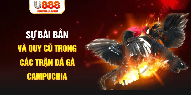 aog777 sòng bạc TỶ LỆ BÓNG ĐÁ